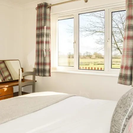 The Darling Файли